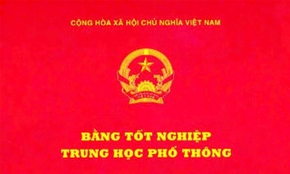 Công bố danh mục TTHC được sửa đổi, bổ sung trong lĩnh vực hệ thống văn bằng, chứng chỉ